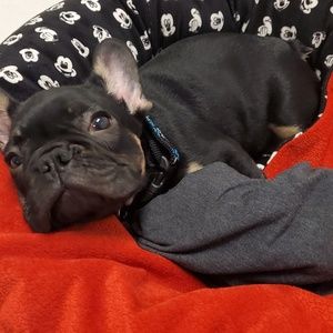 Meet your Posher, Bianca